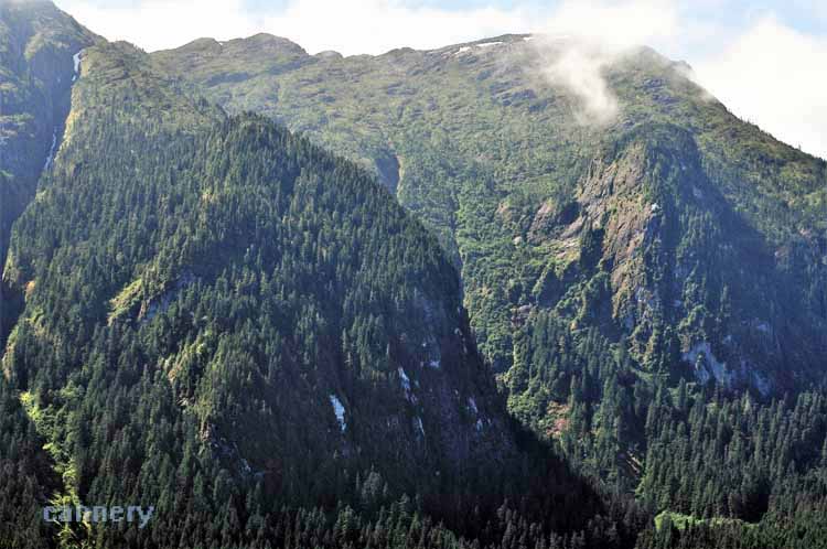 fjords and water